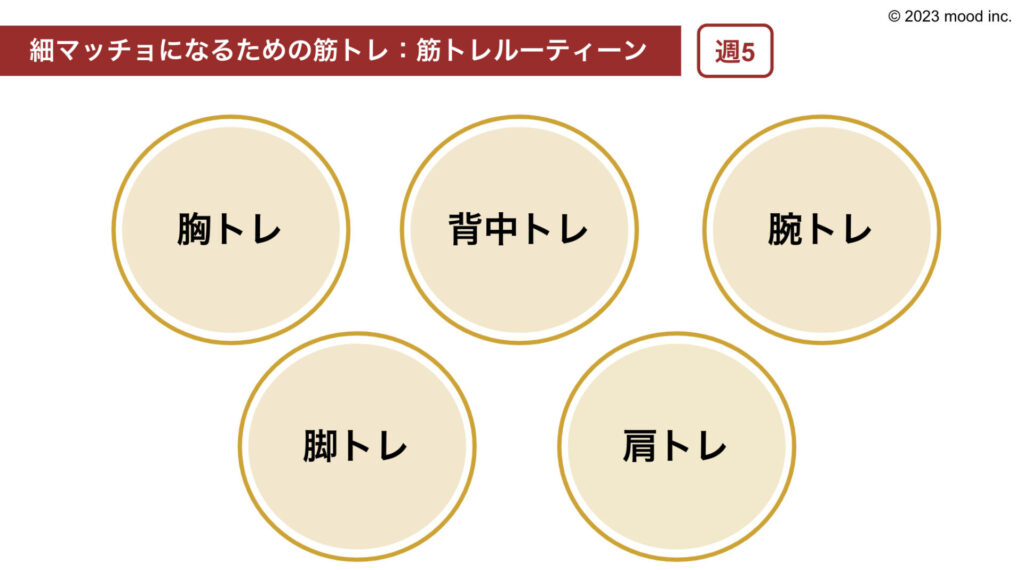 週5分割法トレーニング