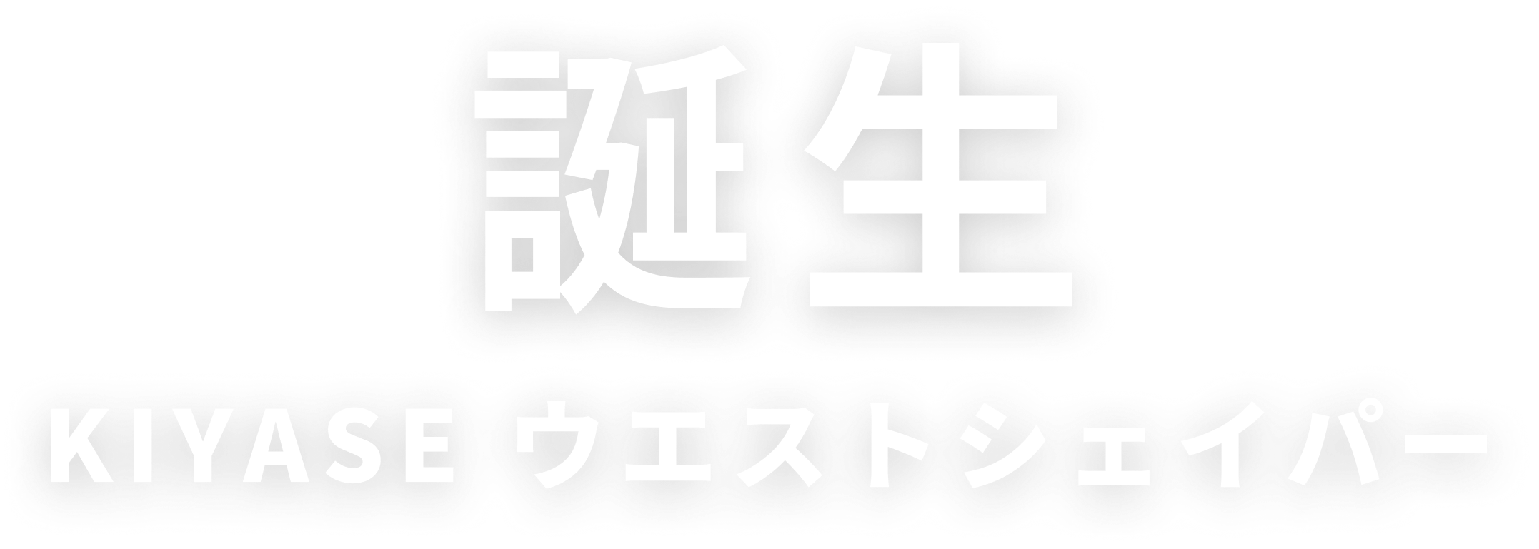 誕生 KIYASE ウエストシェイパー